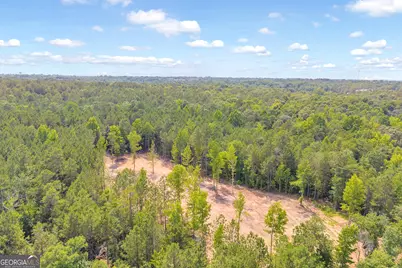 Lot 5 Mill Street, Elberton, GA 30635 - Photo 19