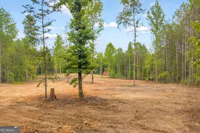 Lot 5 Mill Street, Elberton, GA 30635 - Photo 15