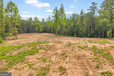 Lot 5 Mill Street, Elberton, GA 30635 - Photo 9
