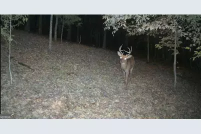 Lot 5 Mill Street, Elberton, GA 30635 - Photo 27