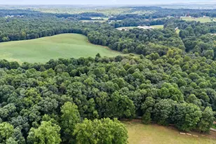 1460 Hollywood Church Rd, Clarkesville, GA 30523 - Photo 37