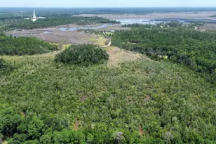 0 Newport Dr NE, Townsend, GA 31331 - Photo 1
