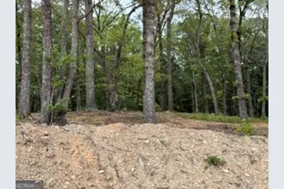 2180 Dunn Rd Road, Molena, GA 30258 - Photo 11