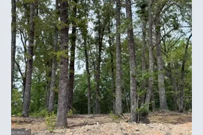 2180 Dunn Road, Molena, GA 30258 - Photo 13