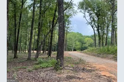 2180 Dunn Road, Molena, GA 30258 - Photo 3