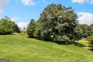 6091 Stone Bridge Rd, Carnesville, GA 30521 - Photo 41