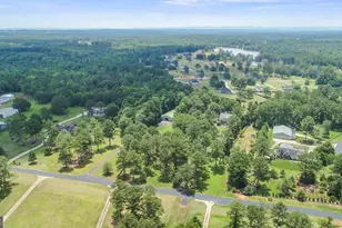 448 Lufbery Cir, Williamson, GA 30292 - Photo 49