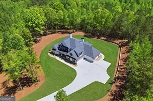 466 Mt Olive Church Ln, White, GA 30184 - Photo 9