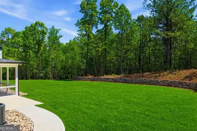 466 Mt Olive Church Lane, Canton, GA 30114 - Photo 49
