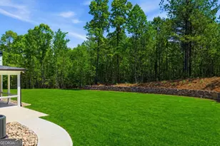 466 Mt Olive Church Ln, White, GA 30184 - Photo 49