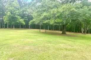 1966 Owens Rd, Woodbury, GA 30293 - Photo 43