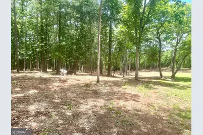 1966 Owens Rd, Woodbury, GA 30293 - Photo 49