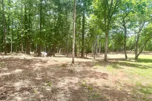 1966 Owens Rd, Woodbury, GA 30293 - Photo 49