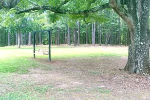 1966 Owens Rd, Woodbury, GA 30293 - Photo 45
