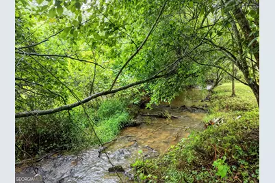 881 Aska Road, Blue Ridge, GA 30513 - Photo 41
