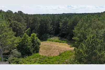 3729 Duncan Bridge Road, Cornelia, GA 30531 - Photo 53
