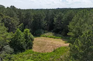 3729 Duncan Bridge Rd, Cornelia, GA 30531 - Photo 53