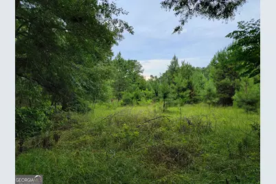 367 Mt Pleasant Church Road, Gordon, GA 31031 - Photo 13