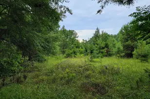 367 Mt Pleasant Church Rd, Gordon, GA 31031 - Photo 13