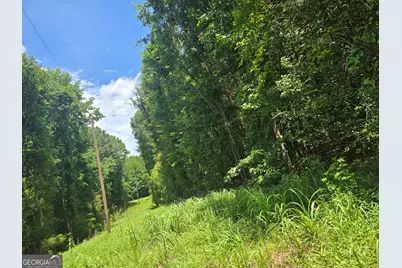 0 Potash Road, Cedartown, GA 30125 - Photo 1
