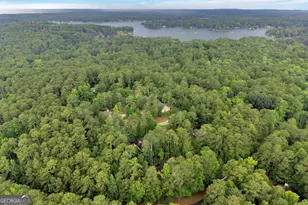 33 Pheasant Ct, Monticello, GA 31064 - Photo 47