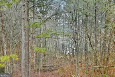 120 Meadow View Glen, Newnan, GA 30265 - Photo 45