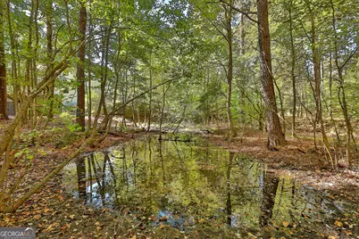 120 Meadow View Glen, Newnan, GA 30265 - Photo 75