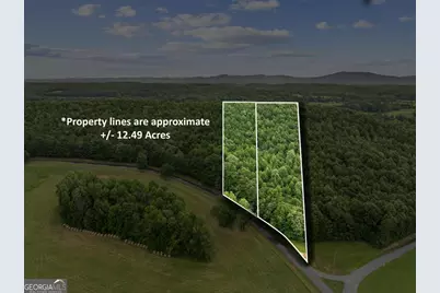 0 Fricks Gap Road LOT #5, Chickamauga, GA 30707 - Photo 13