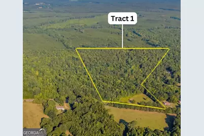 0 Cunningham Road, Greensboro, GA 30642 - Photo 1