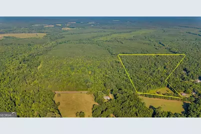0 Cunningham Road, Greensboro, GA 30642 - Photo 3