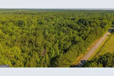 0 Cunningham Road, Greensboro, GA 30642 - Photo 7