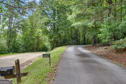1252 Worley Creek Road, Lakemont, GA 30552 - Photo 61