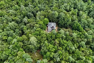 1252 Worley Creek Rd, Lakemont, GA 30552 - Photo 67
