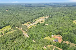 590 Brookwood Dr, Monticello, GA 31064 - Photo 13