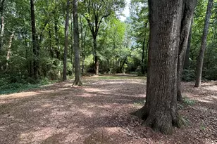 1517 Grovebrook Ln, Watkinsville, GA 30677 - Photo 5
