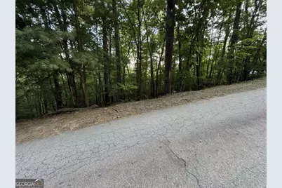 Lot 46 Fox Run Drive #46, Blue Ridge, GA 30513 - Photo 5