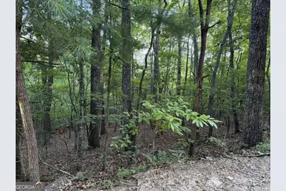 Lot 46 Fox Run Drive #46, Blue Ridge, GA 30513 - Photo 3