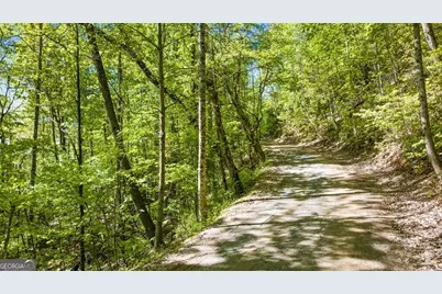 Lot 18 Cub Trail, Cherrylog, GA 30522 - Photo 3