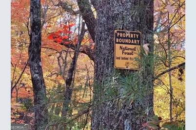 Lot 18 Cub Trail, Cherrylog, GA 30522 - Photo 7