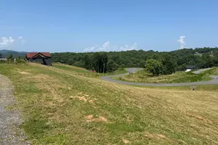 Lot 29 Big Valley Overlook, Morganton, GA 30560 - Photo 1
