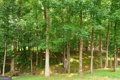 187 Cedar Ridge Road, Locust Grove, GA 30248 - Photo 31