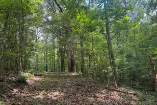 0 Hickey Rd, Franklin, GA 30217 - Photo 1
