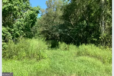 0 Burnt Fort Road, White Oak, GA 31568 - Photo 1