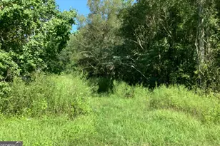 0 Burnt Fort Rd, White Oak, GA 31568 - Photo 1