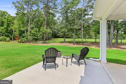 96 Whites Pond Road, Moreland, GA 30259 - Photo 41