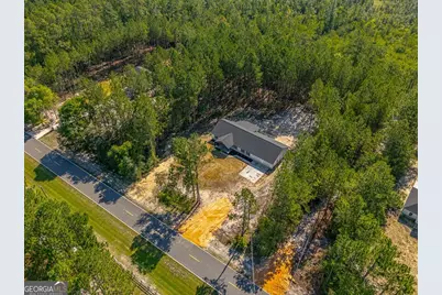 7299 Manningtown Road, Jesup, GA 31546 - Photo 39