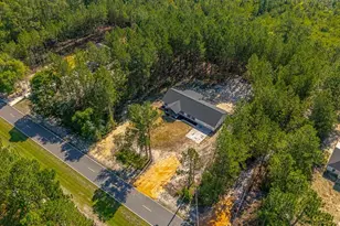 7299 Manningtown Rd, Jesup, GA 31546 - Photo 39