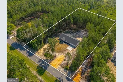 7299 Manningtown Road, Jesup, GA 31546 - Photo 3