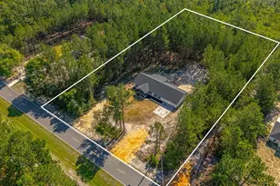 7299 Manningtown Rd, Jesup, GA 31546 - Photo 3