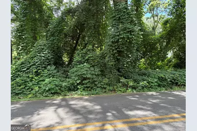 0 Pine Street, Hogansville, GA 30230 - Photo 5